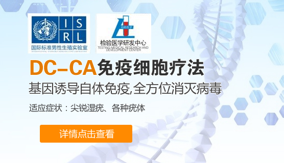 DC-CA免疫细胞疗法