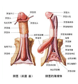 您现在的位置