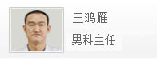 王鸿雁