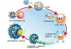 治疗龟头炎的费用
