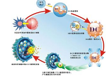 睾丸炎的治疗费用