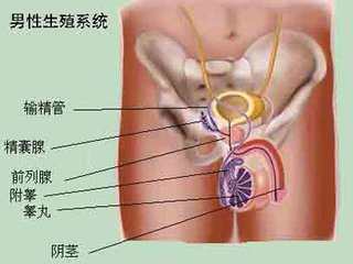 手术会导致阳痿吗？
