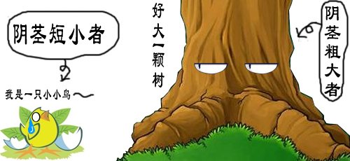 阴茎短小是否和遗传有关？